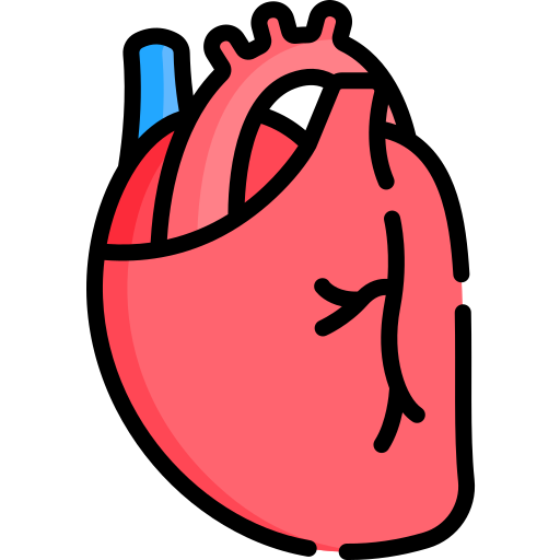 Icon for Cardiology