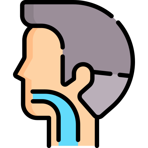 Icon for ENT Endoscopy