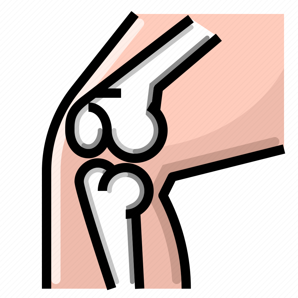 Icon for Orthopedic