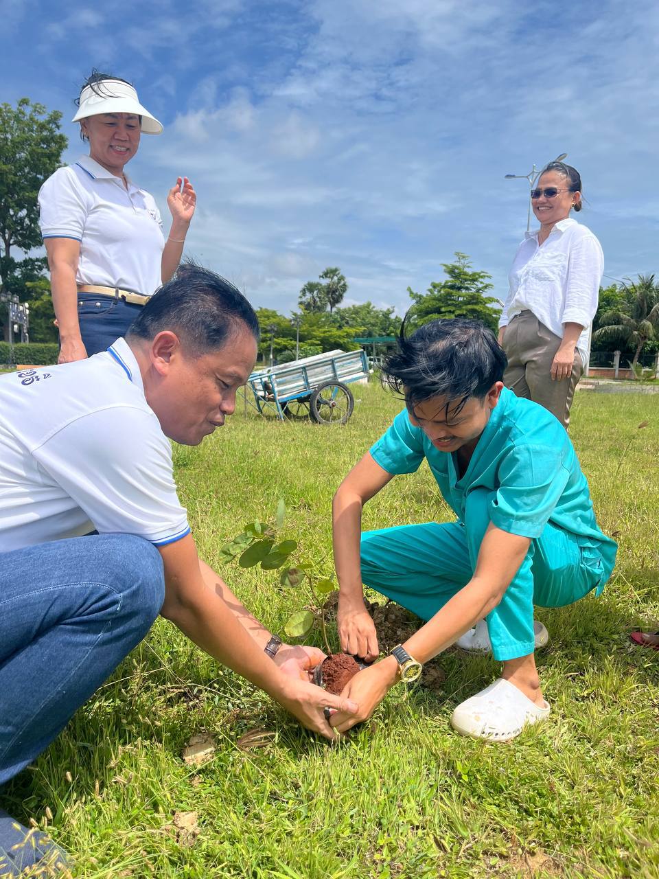 Tree Planting 2