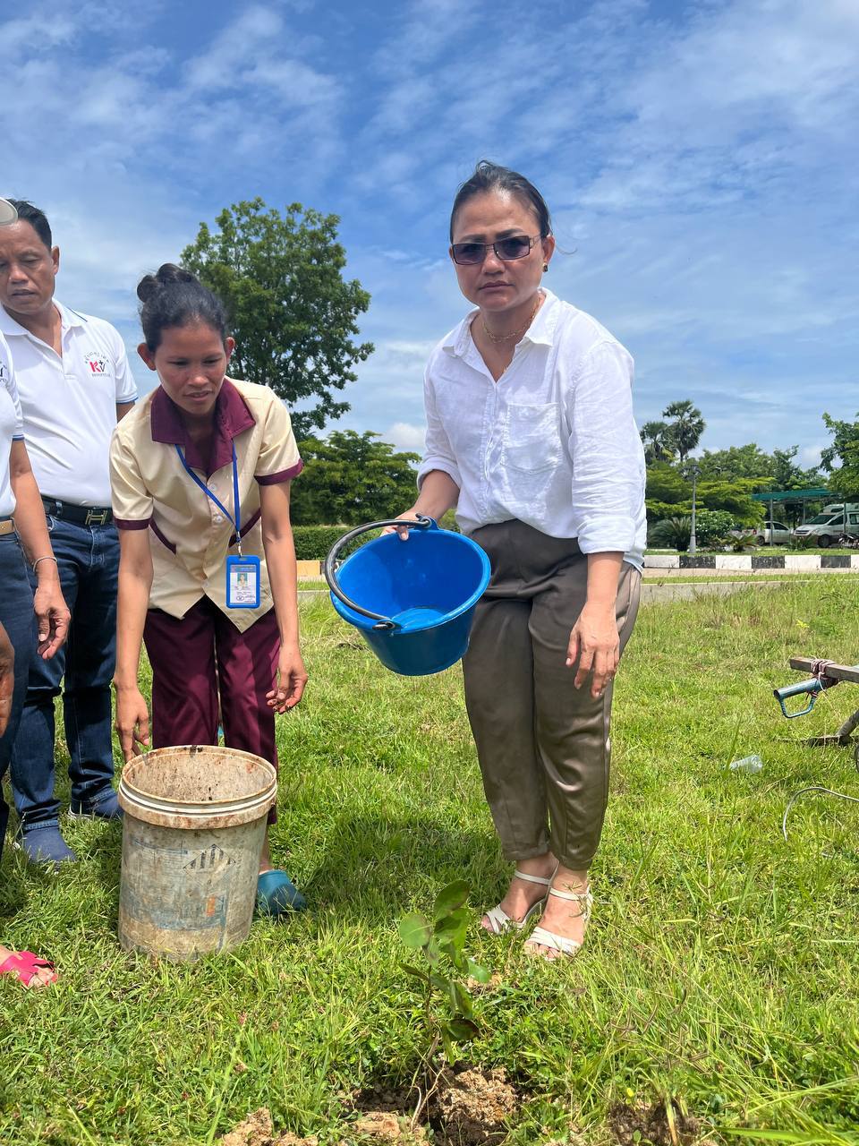 Tree Planting 3